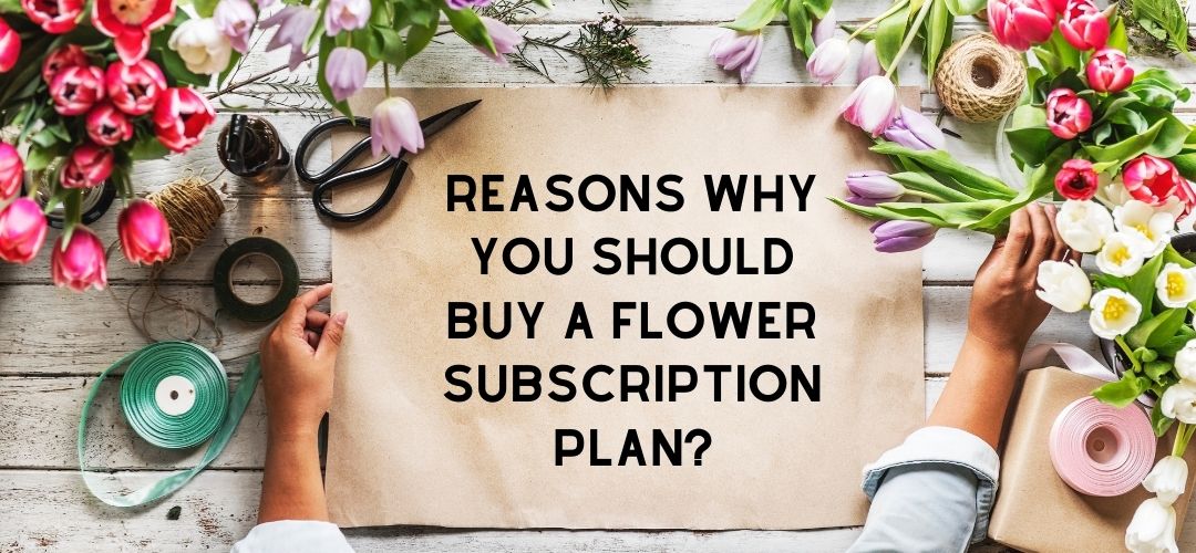 REASONS WHY YOU SHOULD BUY A FLOWER SUBSCRIPTION PLAN Flowerwale